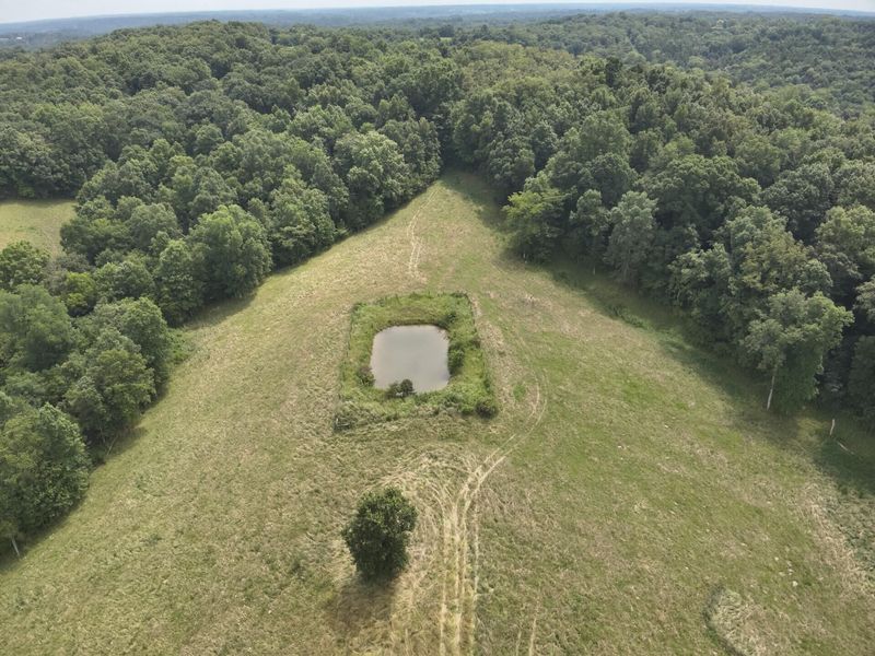 2318 Barlow Road, Cynthiana, KY 41031 Photo 4
