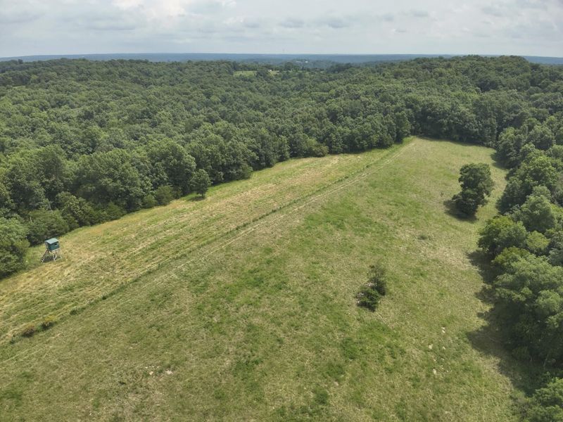 2318 Barlow Road, Cynthiana, KY 41031 Photo 6