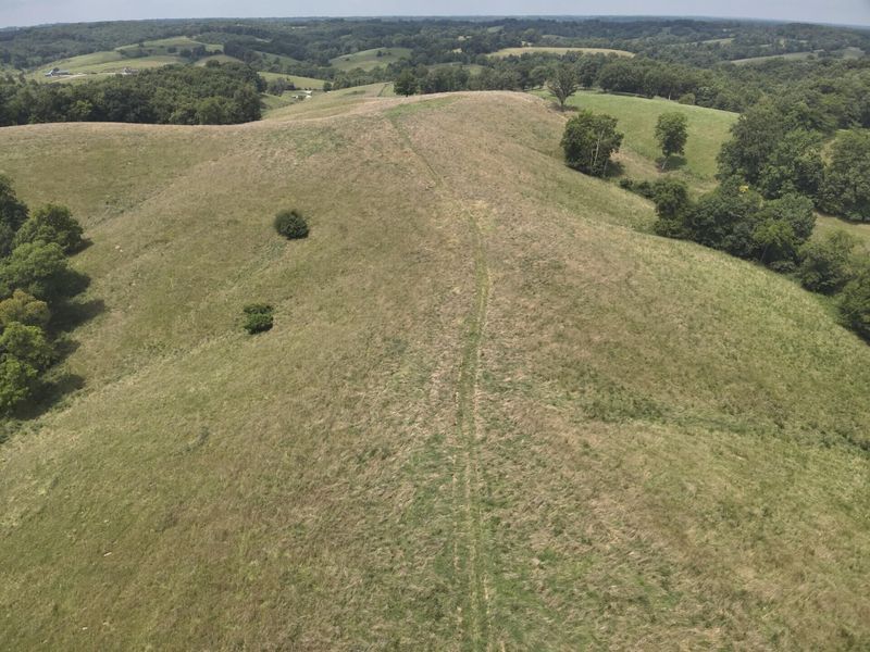2318 Barlow Road, Cynthiana, KY 41031 Photo 9