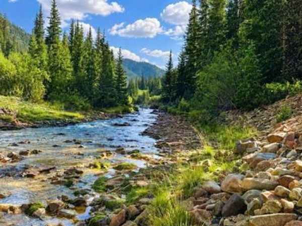 4900 County Road 110, Silverton, CO 81433