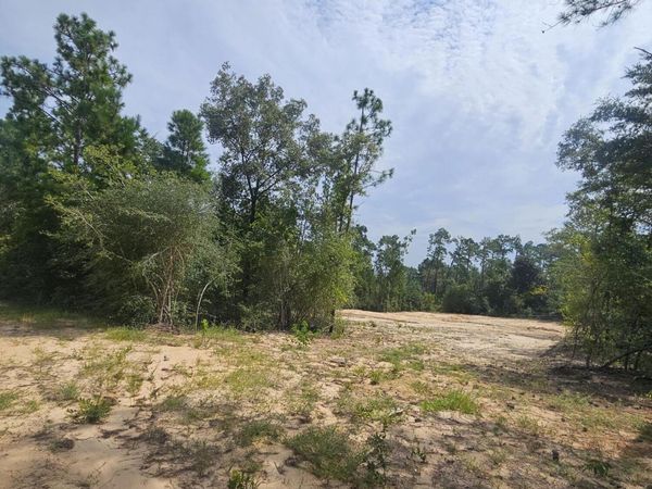 1225 Alene Drive , Alford, FL 32420