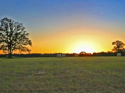 TBD Browns Pond Road, Wagener, SC 29164