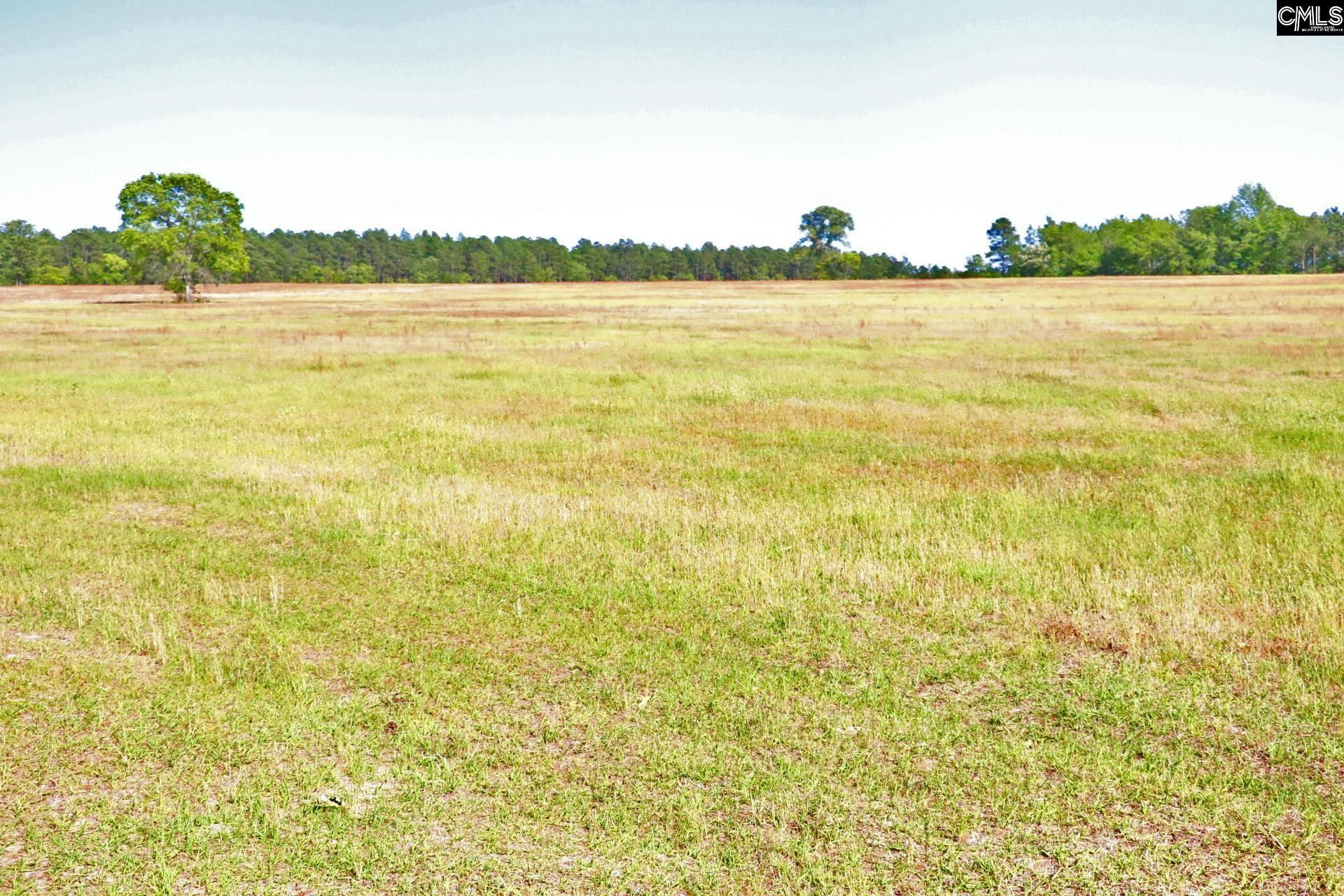 Tbd Browns Pond Road Photo 10