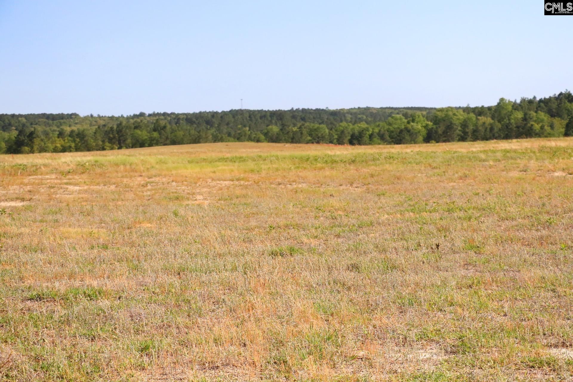 Tbd Browns Pond Road Photo 13