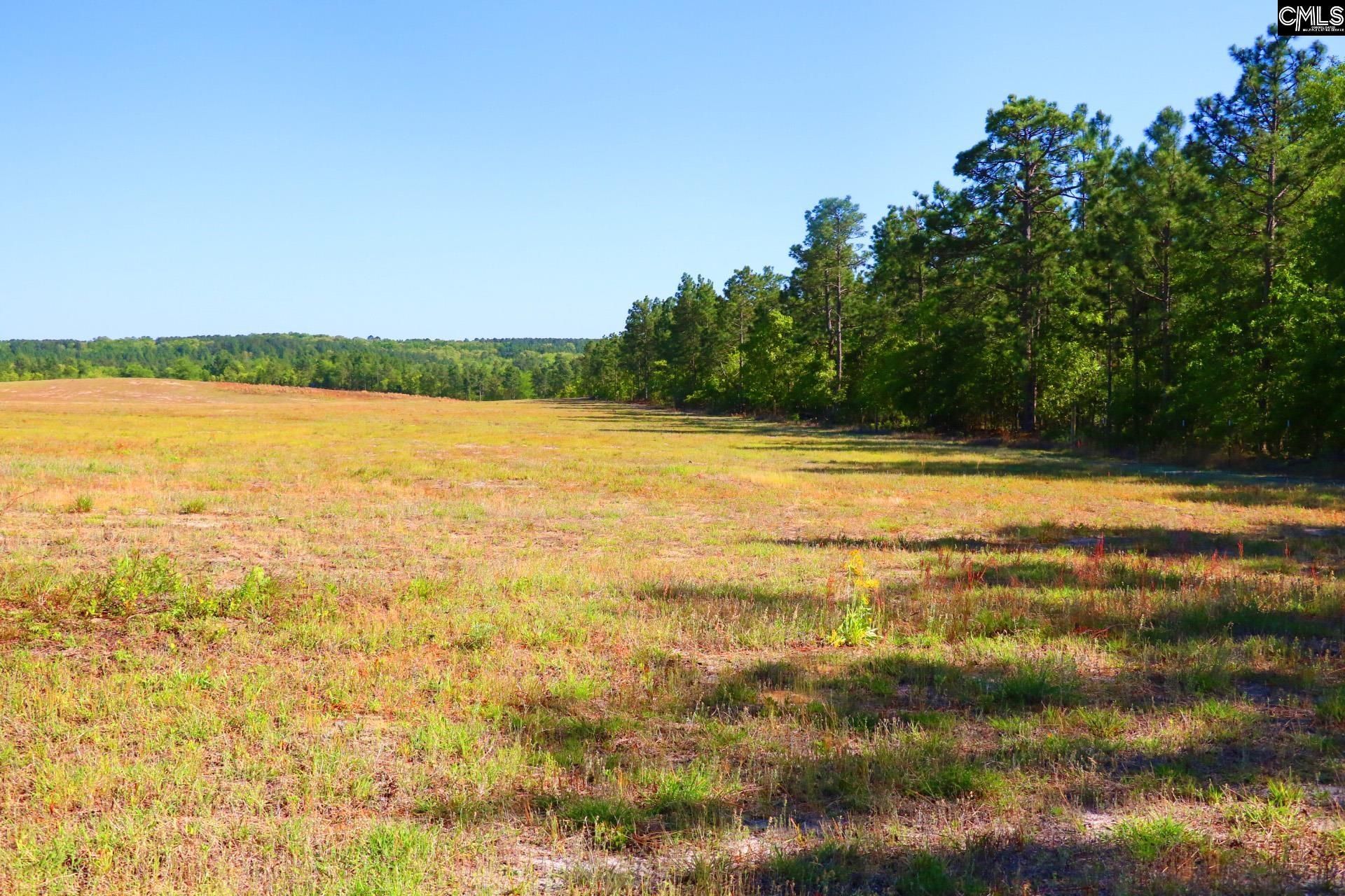 Tbd Browns Pond Road Photo 15