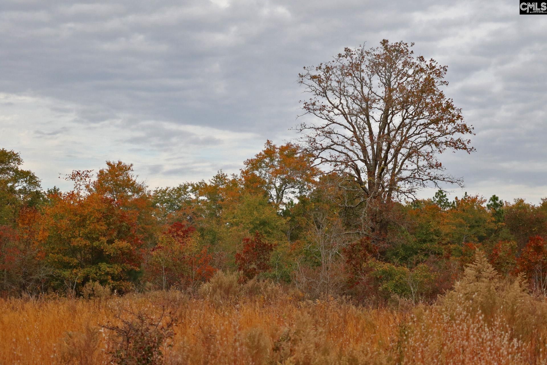 Tbd Browns Pond Road Photo 32