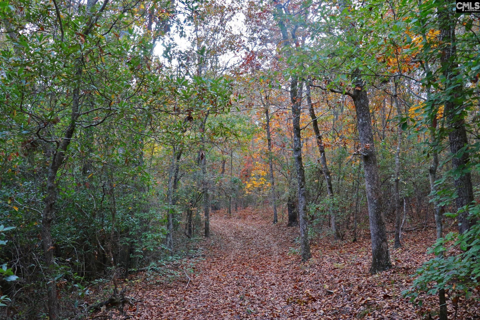 Tbd Browns Pond Road Photo 39