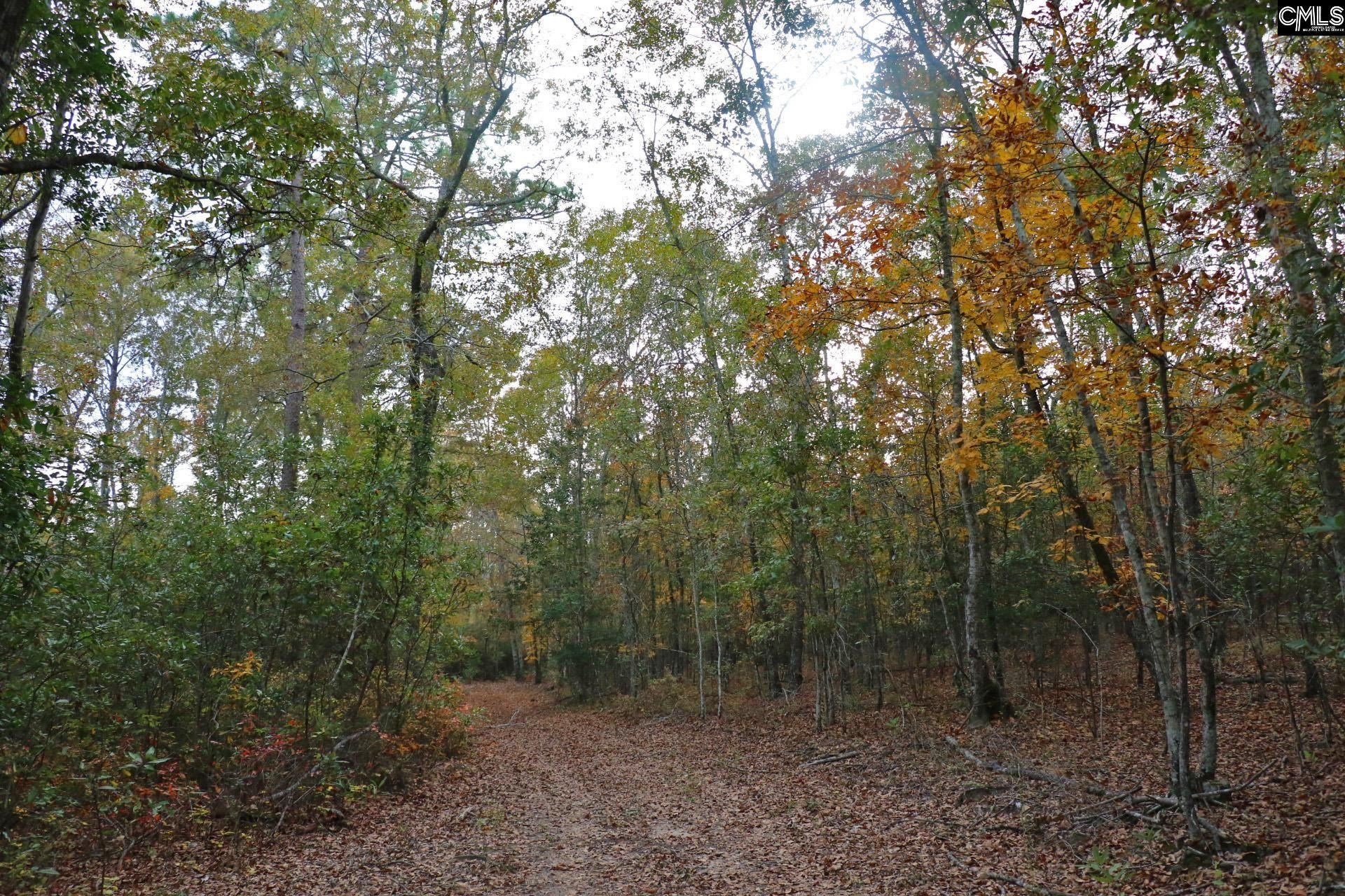 Tbd Browns Pond Road Photo 45