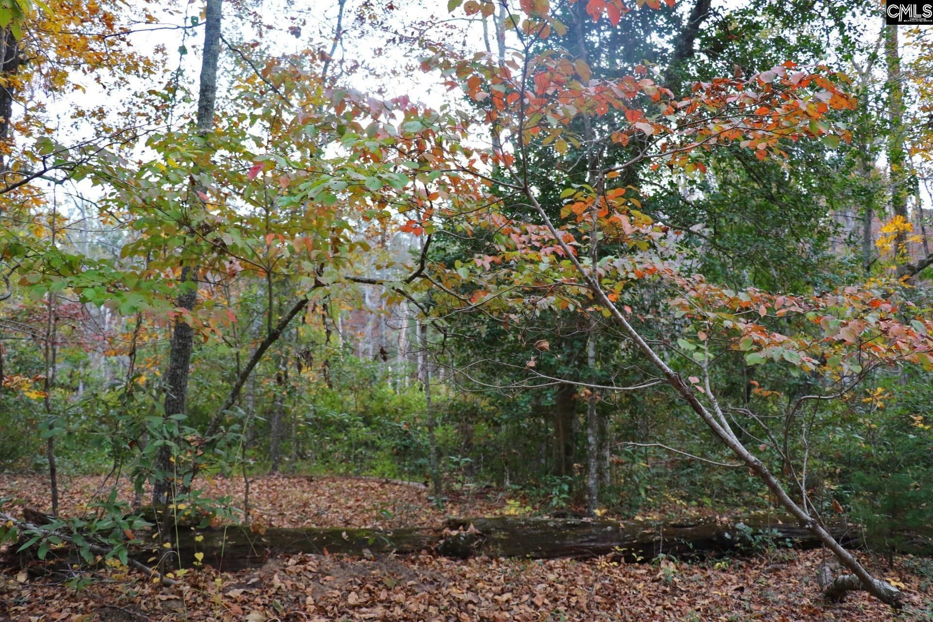 Tbd Browns Pond Road Photo 46