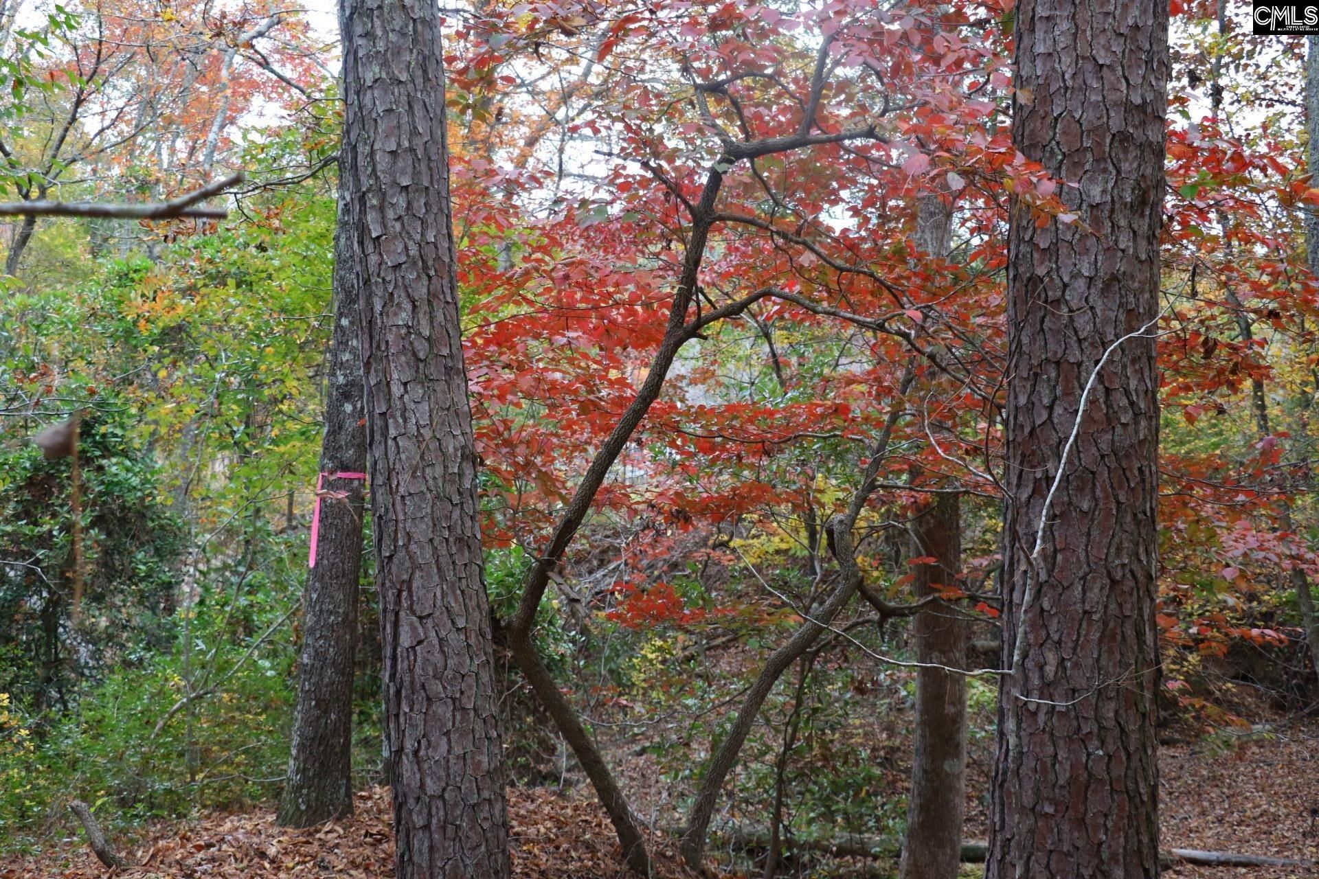 Tbd Browns Pond Road Photo 47