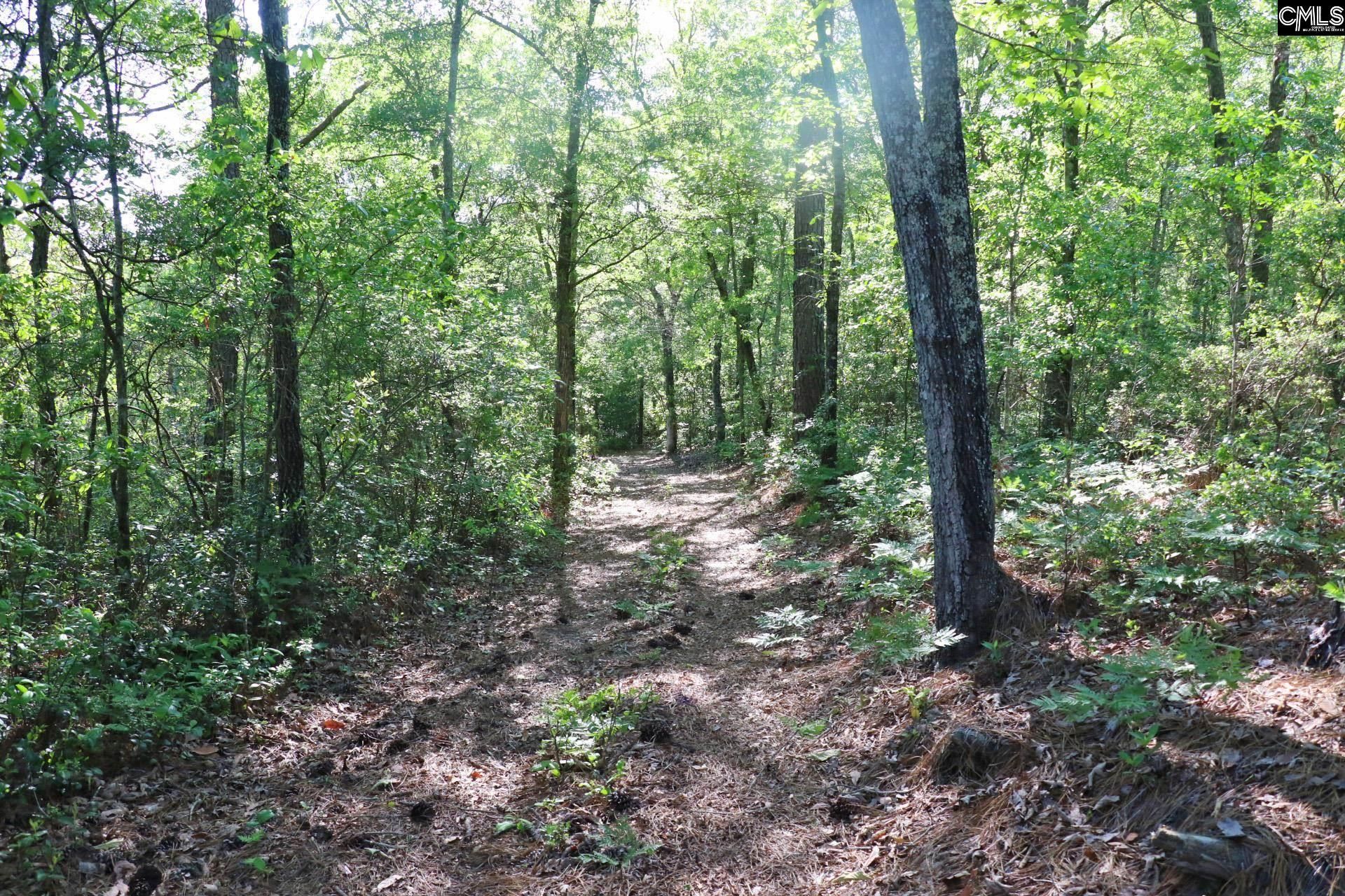 Tbd Browns Pond Road Photo 49