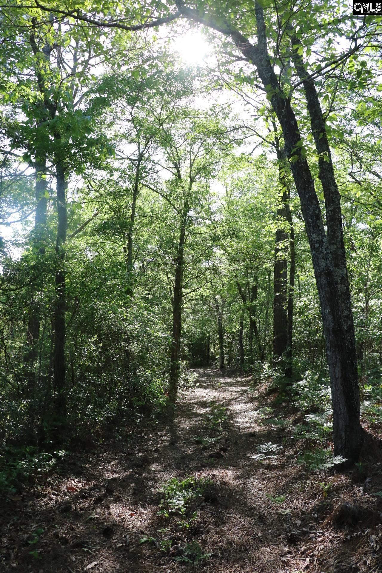 Tbd Browns Pond Road Photo 50