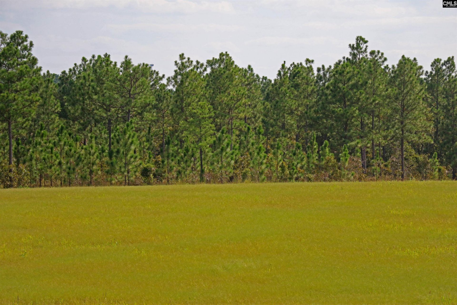 Tbd Browns Pond Road Photo 51