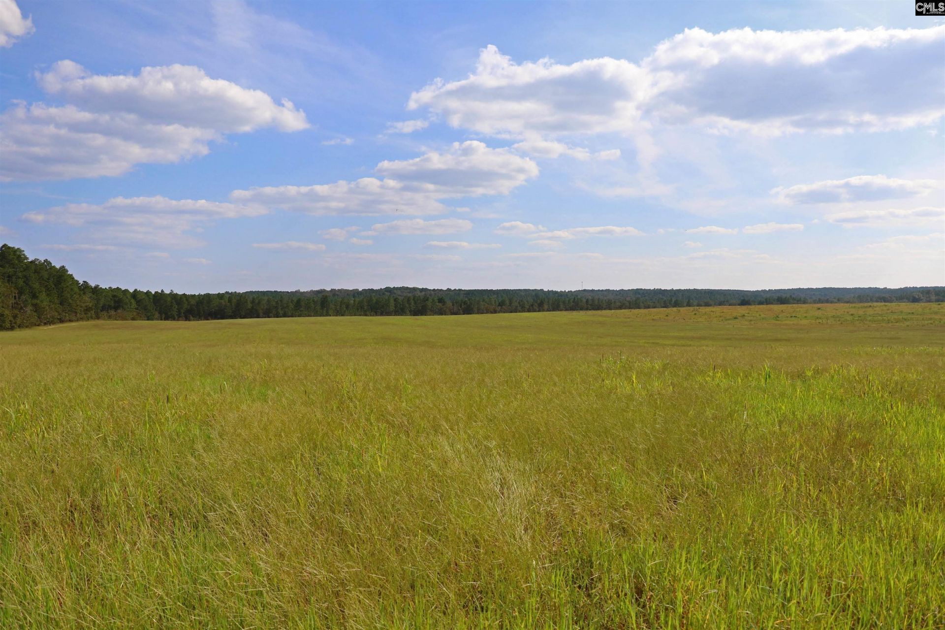 Tbd Browns Pond Road Photo 7
