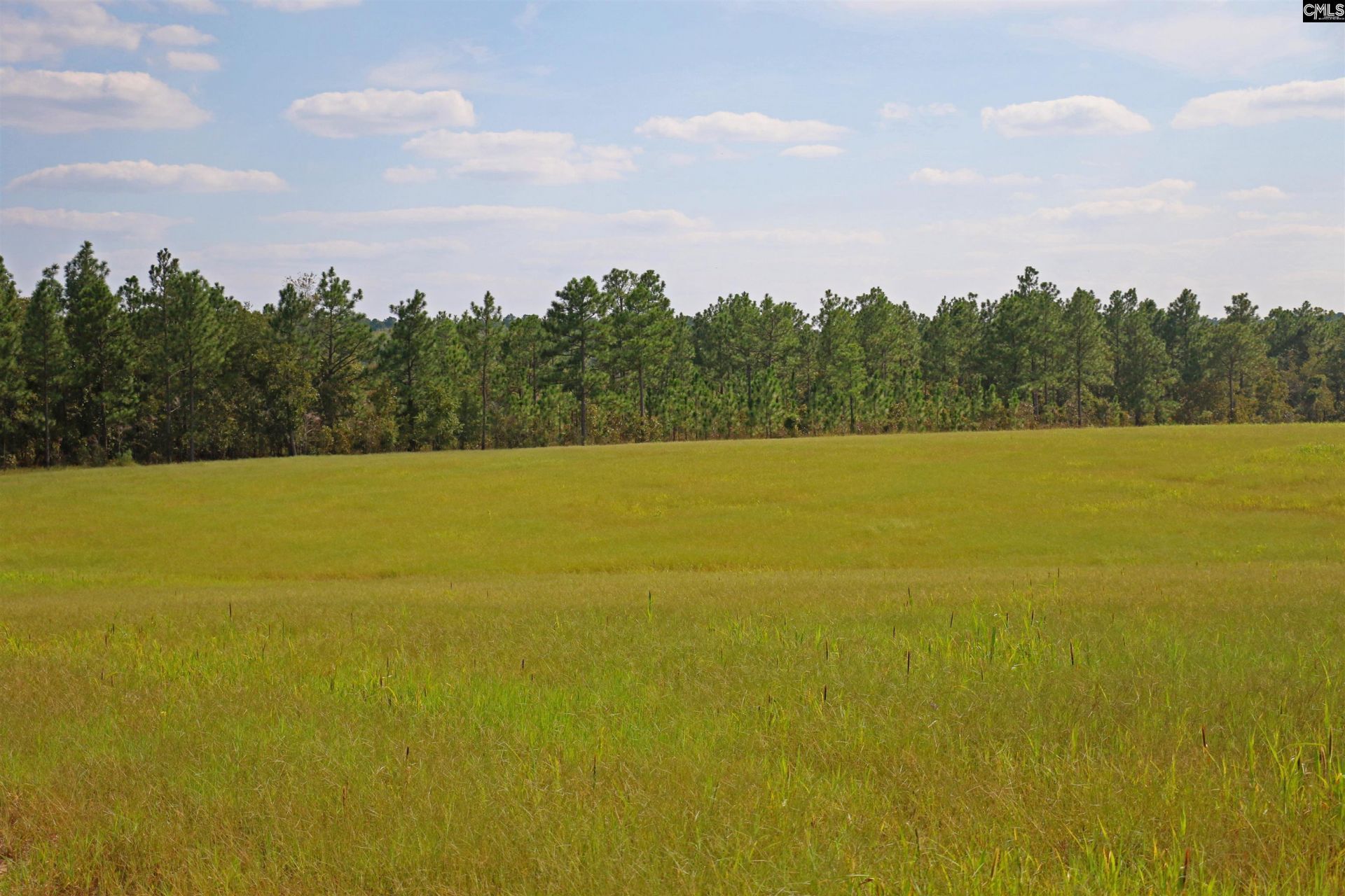 Tbd Browns Pond Road Photo 9