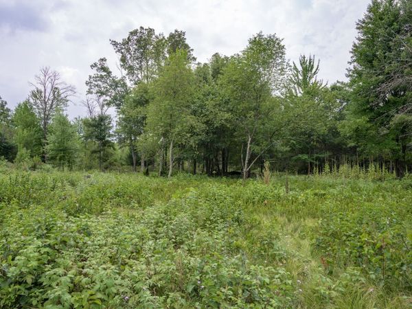 N13230 17th Avenue, Necedah, WI 54646