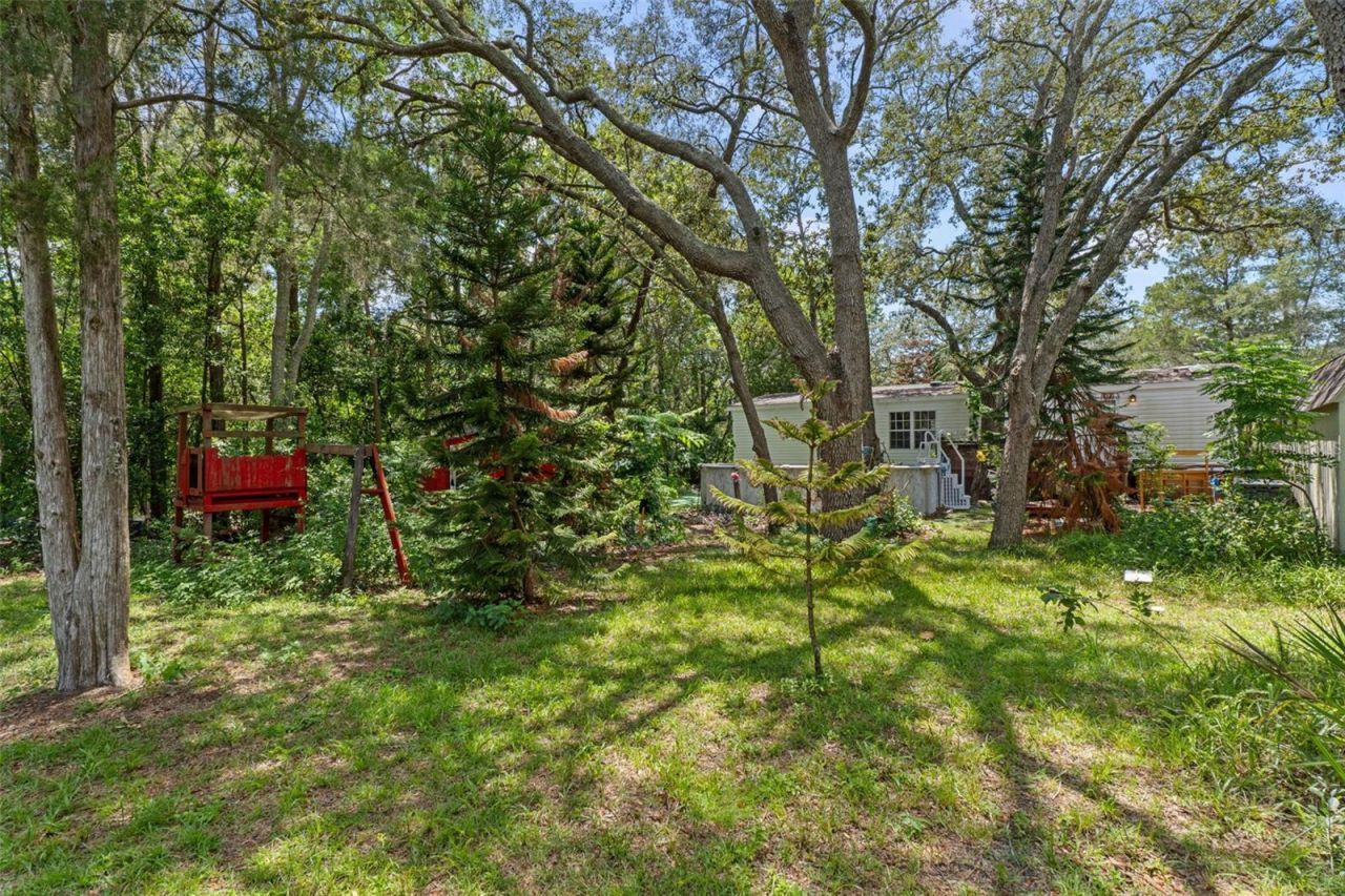 3322 Susan Drive, Spring Hill, FL 34606 Photo