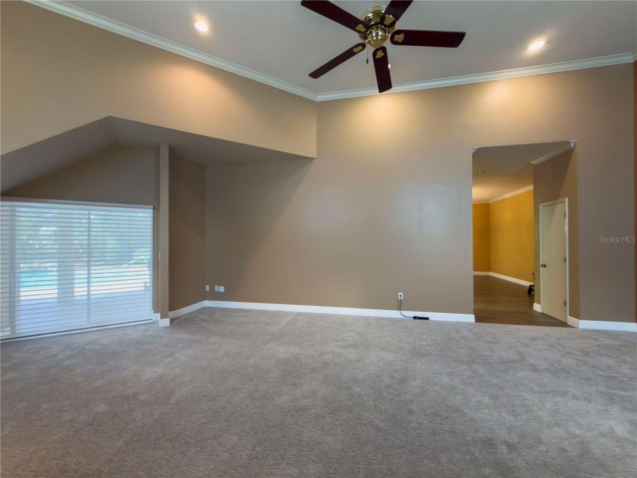 11708 Orange Grove Drive, Tampa, FL 33618 Photo