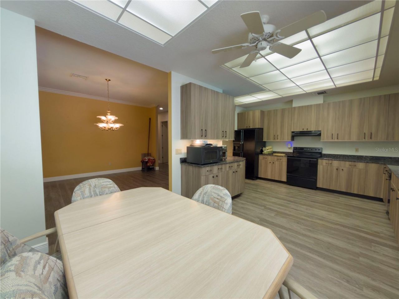 11708 Orange Grove Drive, Tampa, FL 33618 Photo