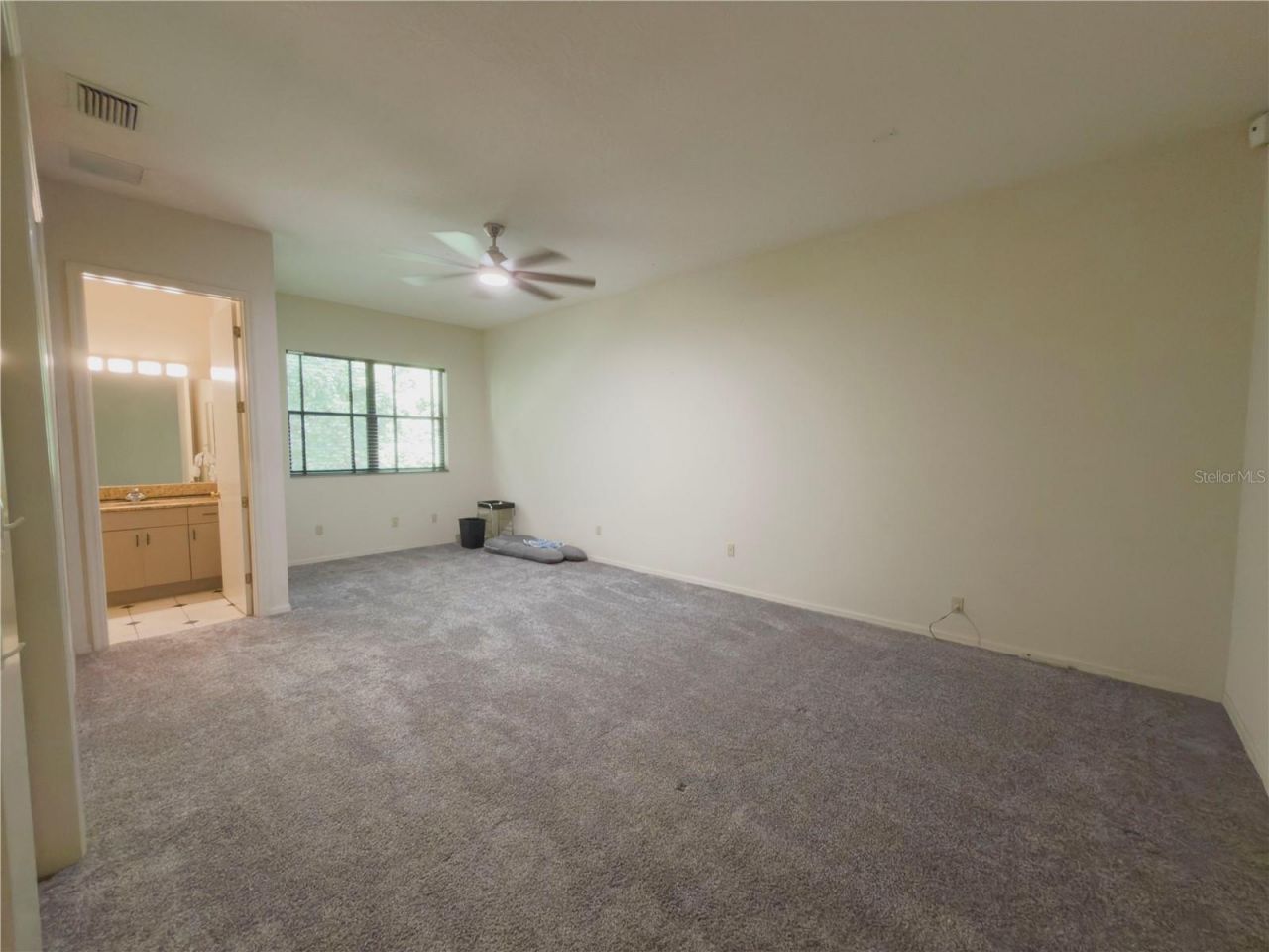 11708 Orange Grove Drive, Tampa, FL 33618 Photo