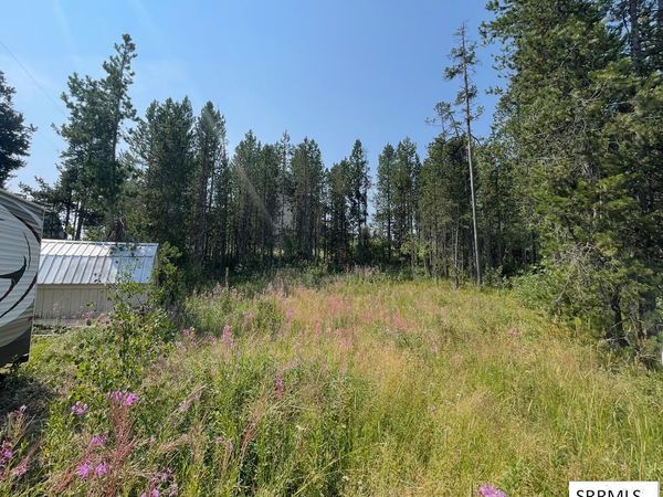 4114 S Big Springs Loop Road, ISLAND PARK, ID 83429