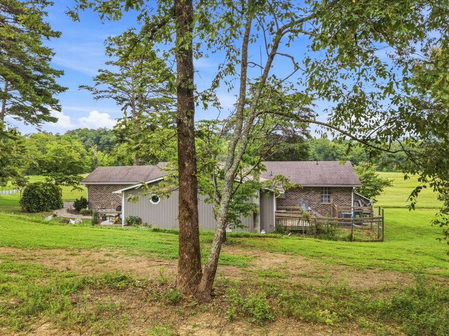 Property Image 40