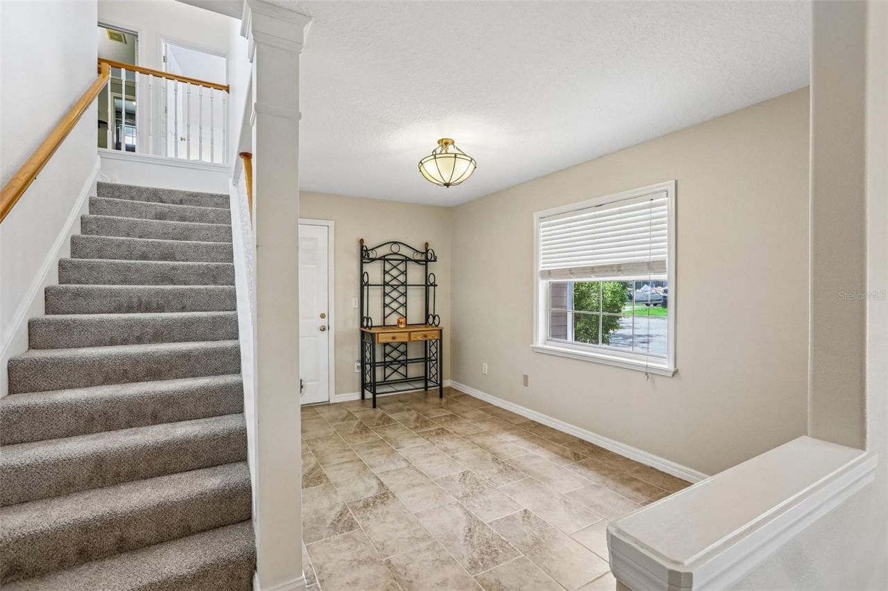 3131 N Canal Drive, Palm Harbor, FL 34684 Photo