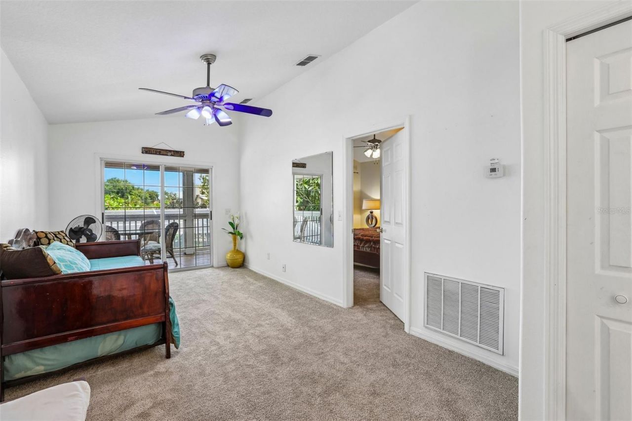 3131 N Canal Drive, Palm Harbor, FL 34684 Photo