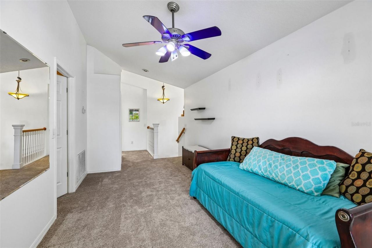 3131 N Canal Drive, Palm Harbor, FL 34684 Photo