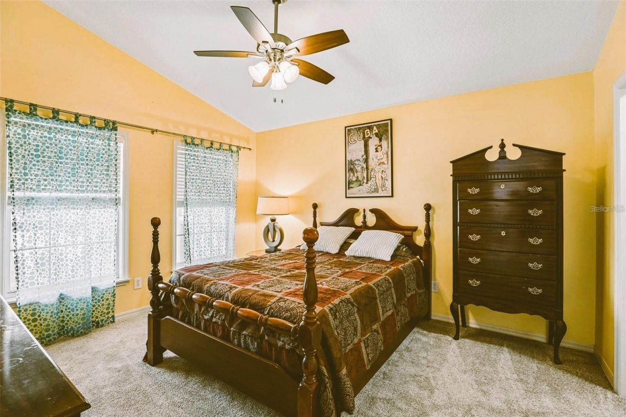 3131 N Canal Drive, Palm Harbor, FL 34684 Photo