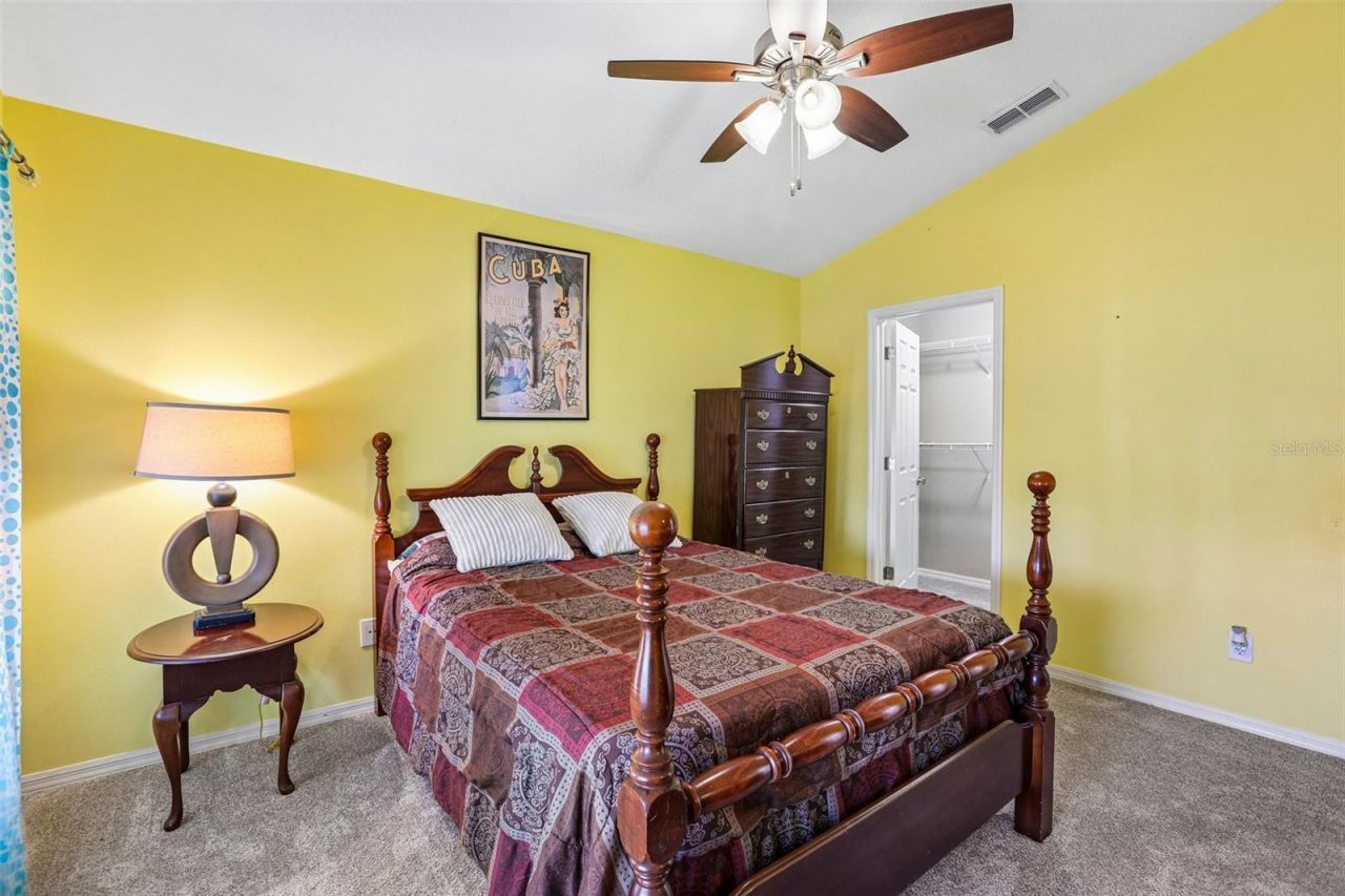 3131 N Canal Drive, Palm Harbor, FL 34684 Photo
