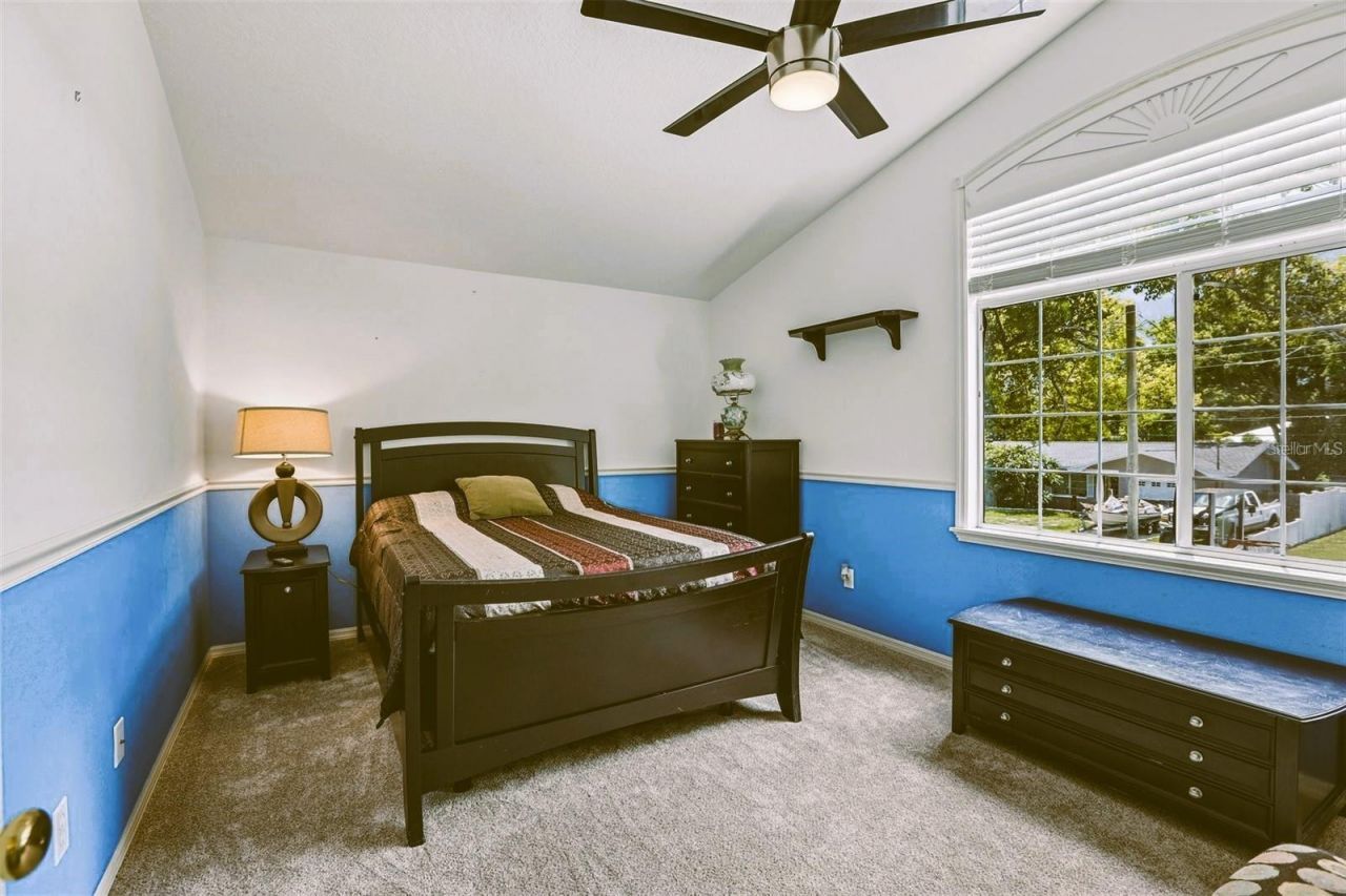 3131 N Canal Drive, Palm Harbor, FL 34684 Photo