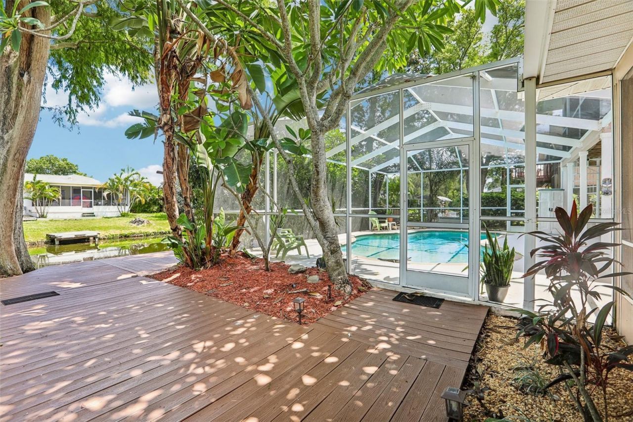 3131 N Canal Drive, Palm Harbor, FL 34684 Photo