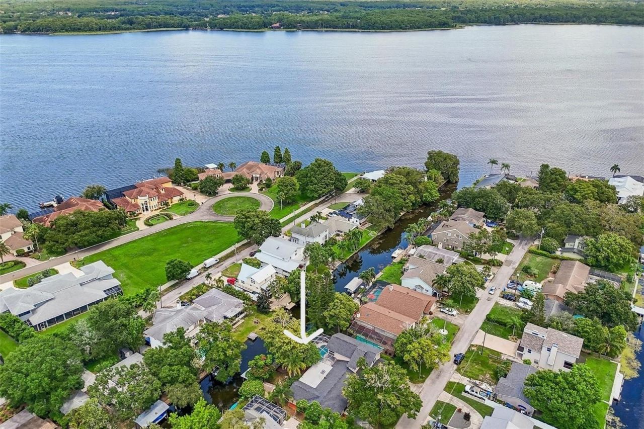 3131 N Canal Drive, Palm Harbor, FL 34684 Photo