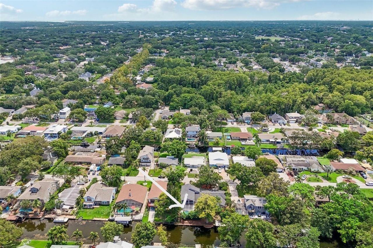 3131 N Canal Drive, Palm Harbor, FL 34684 Photo