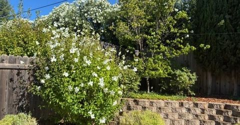 2563 Carla Dr, Placerville, CA 95667 Photo