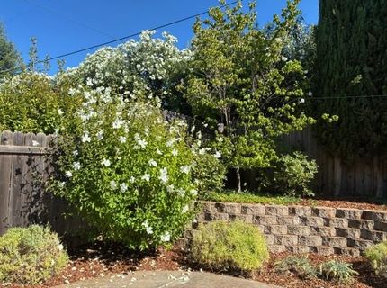 2563 Carla Dr, Placerville, CA 95667 Photo