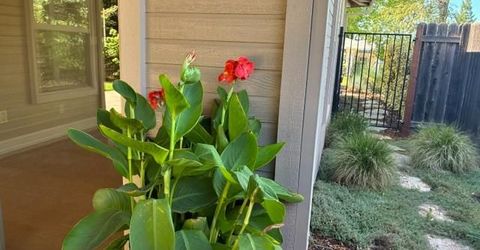 2563 Carla Dr, Placerville, CA 95667 Photo