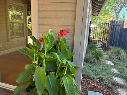 2563 Carla Dr, Placerville, CA 95667 Photo