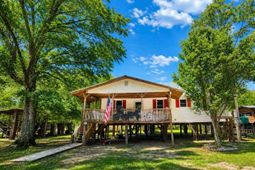 1239 Holly Ridge Lane photo 4