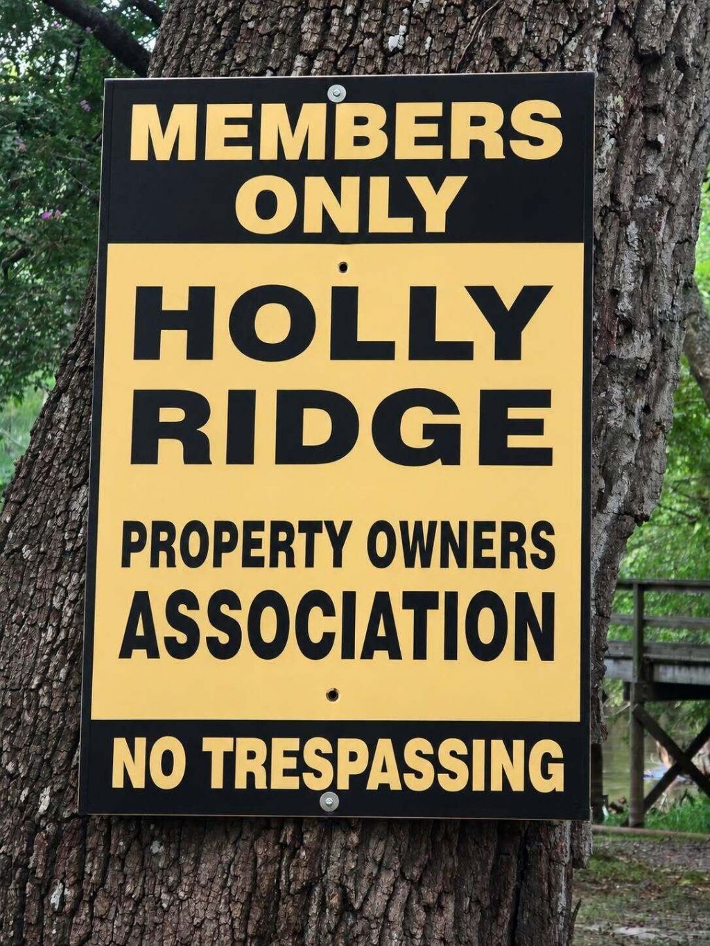 1239 Holly Ridge Lane Photo 38
