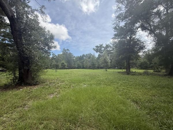 8431 NW 60th Ave, Chiefland, FL 32626