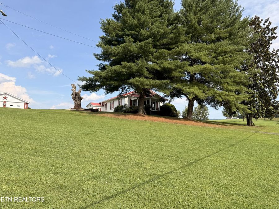 Property Image 41