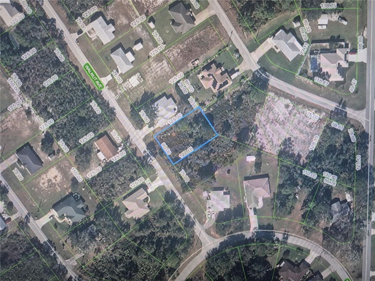 1561 Walnut Avenue , Lake Placid, FL 33852 Photo