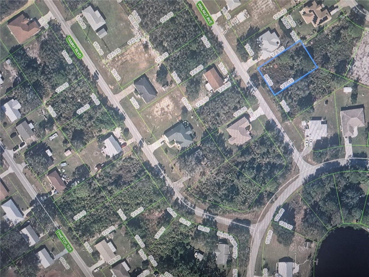1561 Walnut Avenue , Lake Placid, FL 33852 Photo