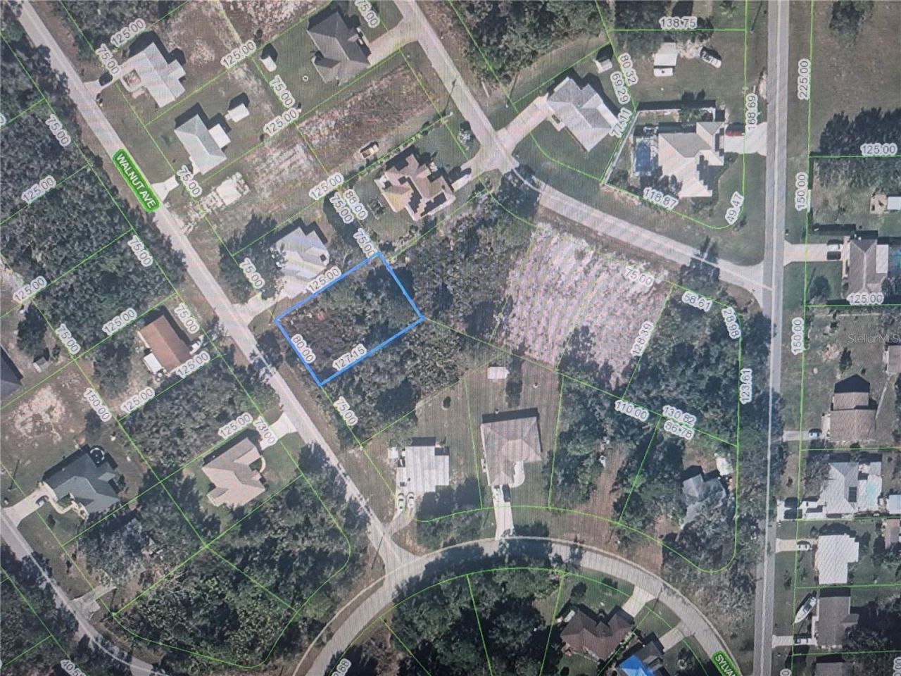 1561 Walnut Avenue , Lake Placid, FL 33852 Photo