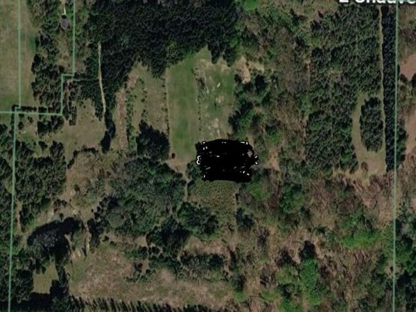 V/L E Chauvez Road, Custer, MI 49405