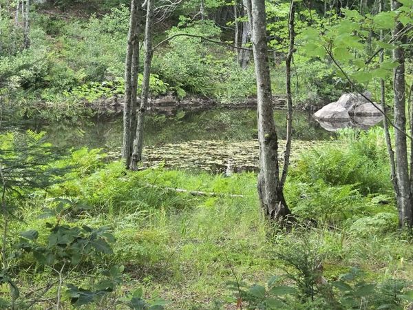 Lot12 River Road, Unit Lot 12, Sumner, ME 04292