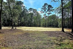 0 White Sands Road photo 4