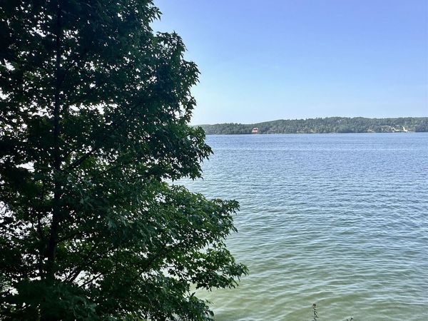 0 Paradise Dr, Waterloo, AL 35677